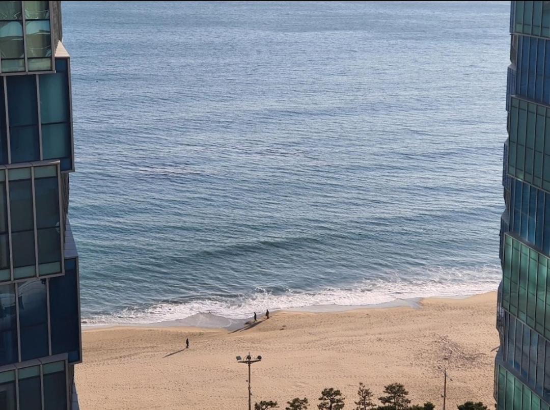 Haeundae Lavender House-Irua Hotel Busan Buitenkant foto